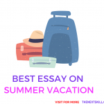 Essay on Summer Vacation