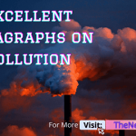 Paragraphs on pollution