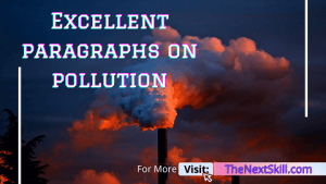 Paragraphs on pollution
