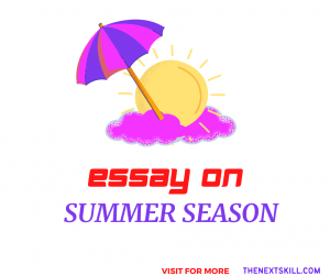 Essay on summer season- banner