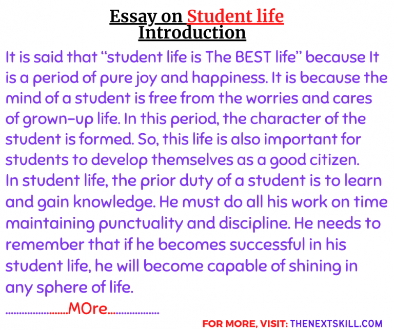 write the essay about student life