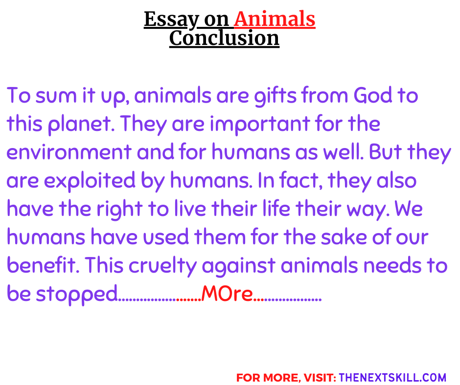 Essay On Animals & Their Importance | Animals Essay